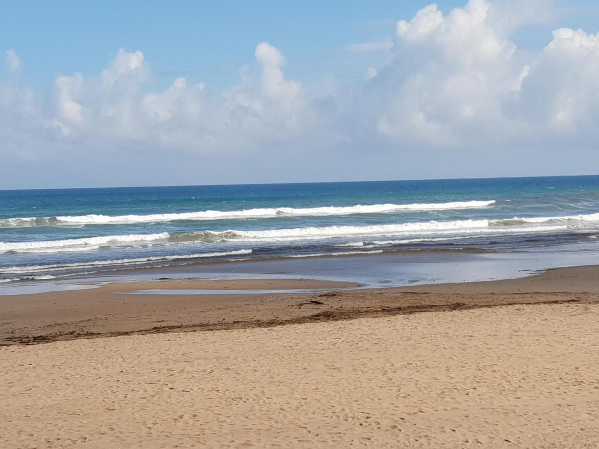Mar Y Sol, Denia